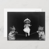 Carte Postale Poupée qui saute & Chatons (Devant / Derrière)