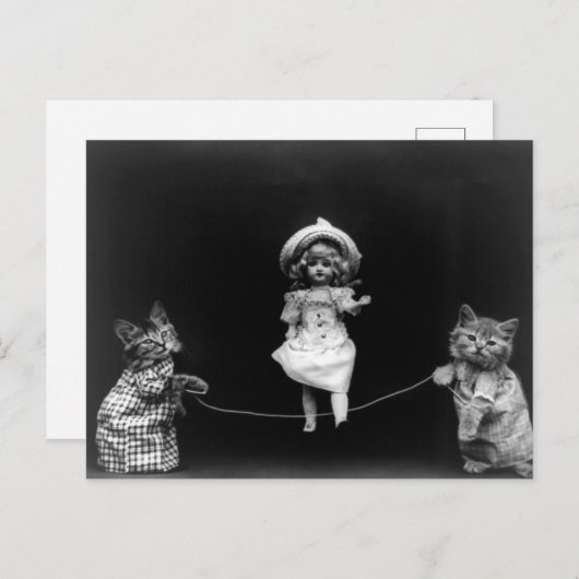 Carte Postale Poupée qui saute & Chatons (Devant / Derrière)