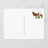 Carte postale pour amateur d'oiseaux avec cardinal (Dos)