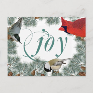 Carte postale pour amateur d'oiseaux avec cardinal