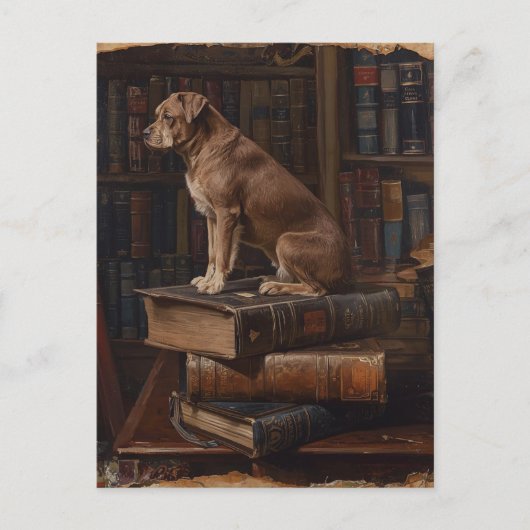 Carte postale pour animaux de compagnie  (Devant)