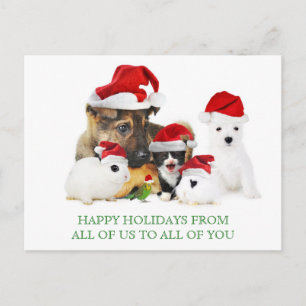 Carte postale pour animaux de Noël