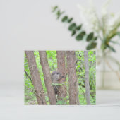 Carte postale pour bébé à marmotte (Debout devant)