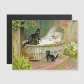 Carte postale pour bébé, chat et chaton (Devant / Derrière)