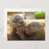 Carte postale pour bébés petits loutre (Devant / Derrière)