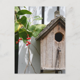 Carte Postale Pour Bob