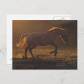 Carte Postale Pour Cheval Avec Éclairage Dorsal (Devant / Derrière)
