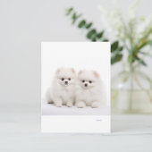 carte postale pour chien (Debout devant)
