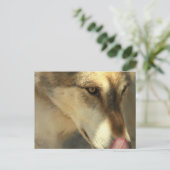 Carte postale pour déjeuner de loup (Debout devant)