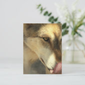 Carte postale pour déjeuner de loup (Debout devant)