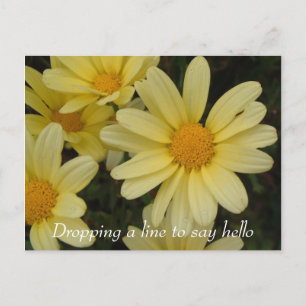 Carte postale pour dire bonjour