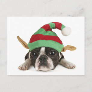 Carte postale pour elfe amusant