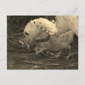 Carte Postale Pour en savoir plus -