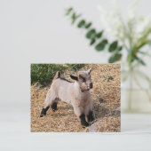 Carte postale pour enfant (Debout devant)