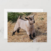 Carte postale pour enfant (Devant / Derrière)