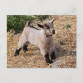 Carte postale pour enfant (Devant)