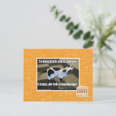Carte Postale Pour faire katch le cheezburger (Debout devant)