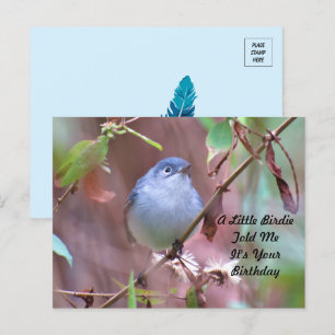 Carte postale pour l'anniversaire de Little Birdie
