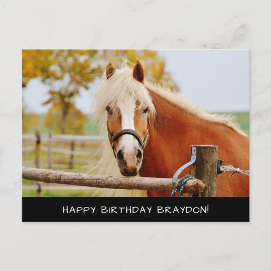Carte postale pour l'anniversaire du cheval (Devant)