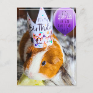 Carte postale pour l'anniversaire du cochon de Gui