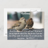 Carte postale pour l'assertivité - Citation de sou (Devant / Derrière)