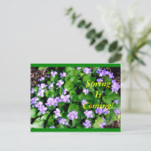 Carte postale pour le ressort (Debout devant)