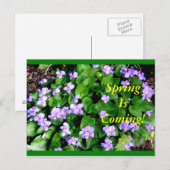 Carte postale pour le ressort (Devant / Derrière)