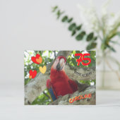 Carte postale pour les 75 ans d'un perroquet rouge (Debout devant)