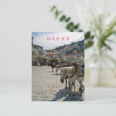 Carte postale pour les chevaux de l'île d'Hydra (Debout devant)
