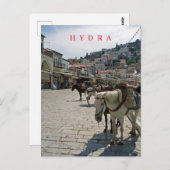 Carte postale pour les chevaux de l'île d'Hydra (Devant / Derrière)