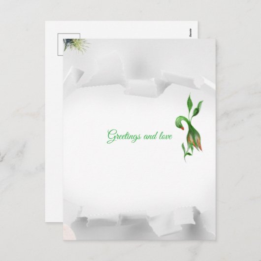 Carte postale pour les fêtes (Devant / Derrière)