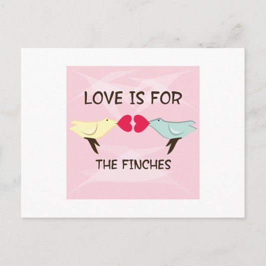 Carte Postale Pour Les Finches (Devant)