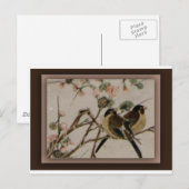 Carte Postale Pour les oiseaux (Devant / Derrière)