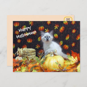 Carte postale pour l'Halloween Savannah - Siamese