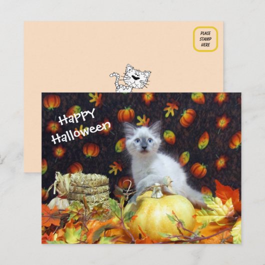 Carte postale pour l'Halloween Savannah - Siamese (Devant / Derrière)