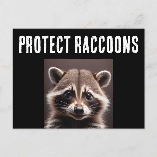 CARTE POSTALE POUR PROTÉGER LES RATONS LAVEURS (Devant)