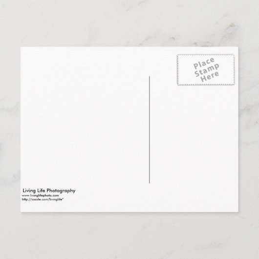 Carte postale pour réserver la date (Dos)