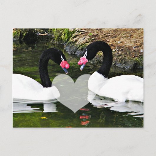 Carte Postale Pour toujours vos_ (Devant)