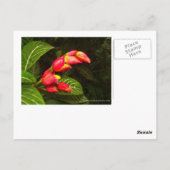 Carte postale pour voyage 5 (Dos)