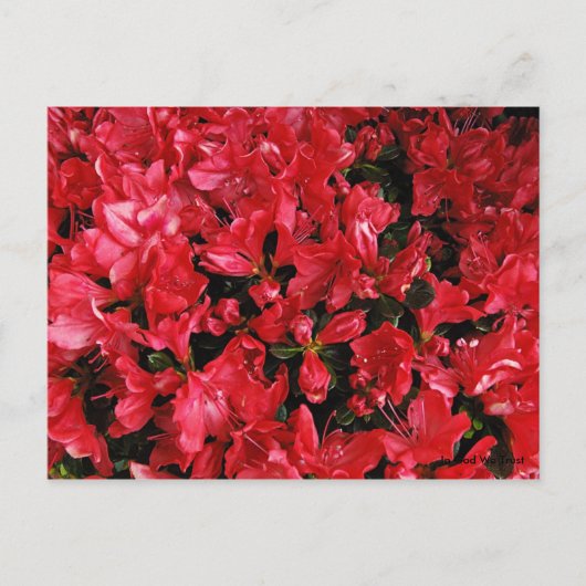 Carte postale pour voyage 5 (Devant)