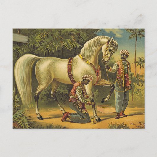 Carte Postale POURCENTAGE TEE Horse (Devant)