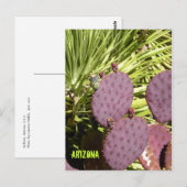 Carte postale pourpre de l'Arizona de cactus (Devant / Derrière)