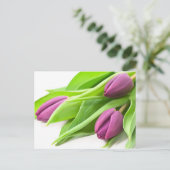 Carte postale pourpre de tulipes (Debout devant)