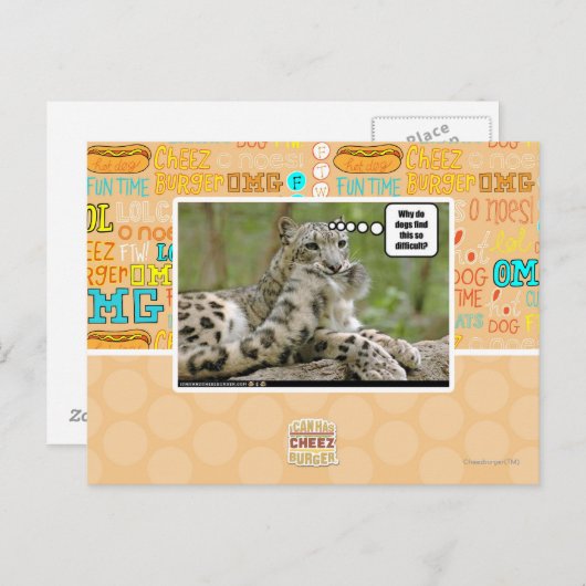 Carte Postale Pourquoi les chiens trouvent-ils cela si difficile (Devant / Derrière)