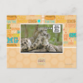 Carte Postale Pourquoi les chiens trouvent-ils cela si difficile (Devant)