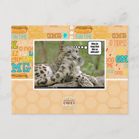 Carte Postale Pourquoi les chiens trouvent-ils cela si difficile (Devant)