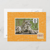 Carte Postale Pourquoi les chiens trouvent-ils cela si difficile (Devant / Derrière)