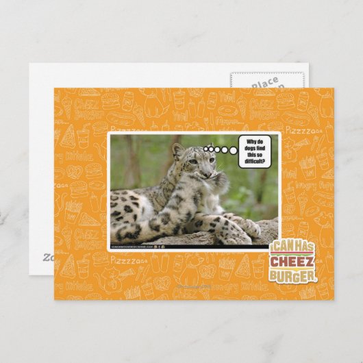 Carte Postale Pourquoi les chiens trouvent-ils cela si difficile (Devant / Derrière)