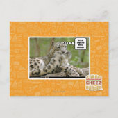 Carte Postale Pourquoi les chiens trouvent-ils cela si difficile (Devant)