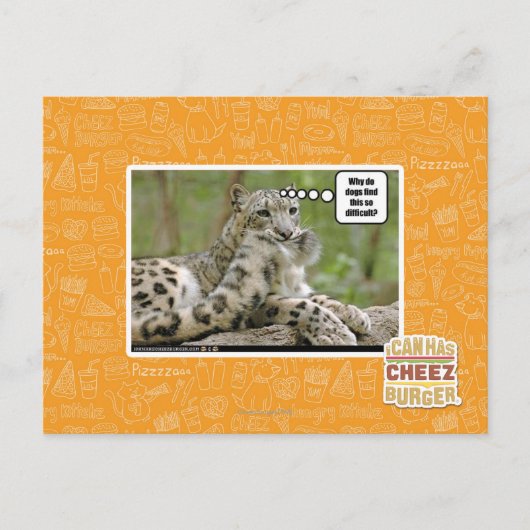 Carte Postale Pourquoi les chiens trouvent-ils cela si difficile (Devant)